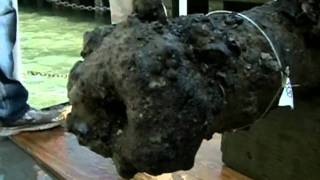 PIRATE CANNON: Blackbeard artifact pulled out of the ocean