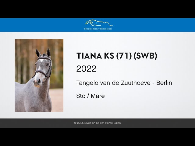 Tiana KS - Free jumping