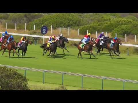 LOVE IN WINTER - RACE 7 #hollywoodbetskenilworth 17-12-2022