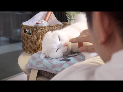 니도 내 잘 때 건드렸제?