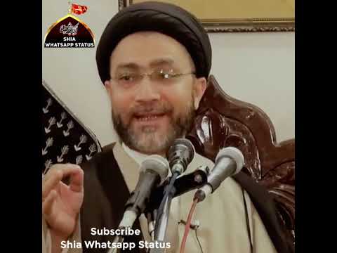 Kya Maula Aliع Sach Me Khuda Hain? | Maulana Shahenshah Hussain Naqvi | Behtareen Jawab | #shorts