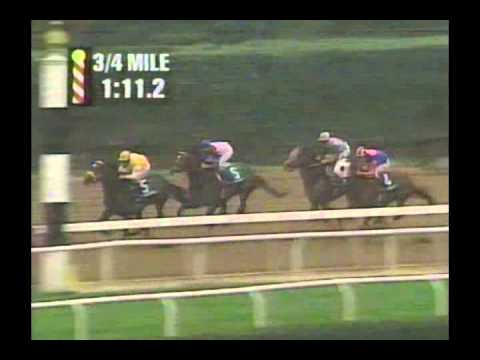 1995 Jockey Club Gold Cup - Cigar