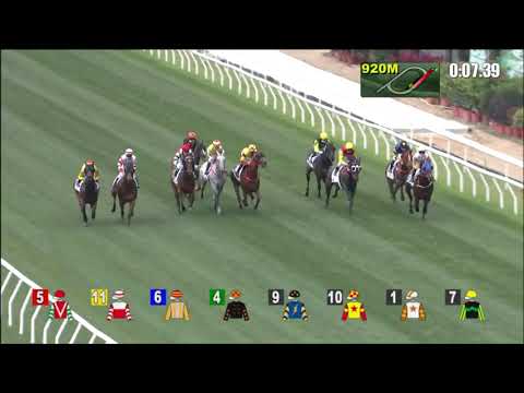 16/4/2022 (591) Run Run Cool - Z Purton