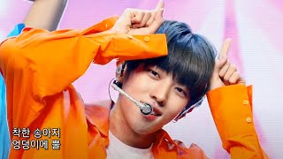 Download lagu 착한 송아지 쌉손해 mp3 Download lagu 착한 송아지 쌉손해 mp3