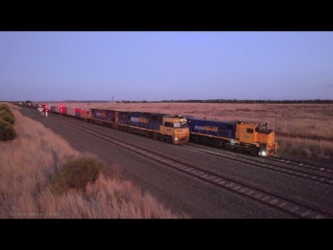 2MA5 Pacific National Container Freight Train Crossing X50 & BL33 (3/4/2023) - PoathTV Railways