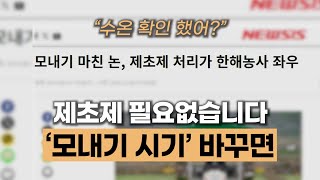제초제, 농약, 비료없이 수도작 하는 방법 #벼농사 #모내기시기