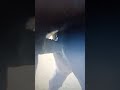 Horse Mating Or Animal Mating Ytshort Animalplanet