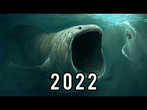 Evolution of the Bloop 1997-2022