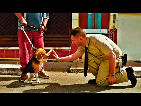 Куш собачий ✔️ Русский трейлер (2020)