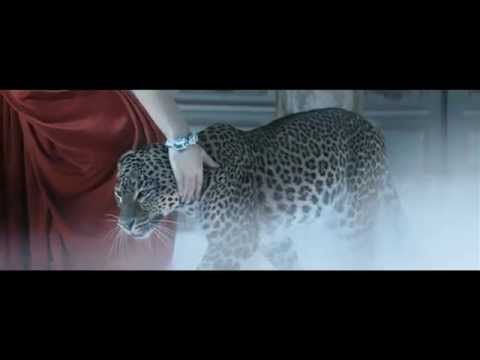 Mon Odyssée - Panthère et Cartier