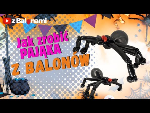 Jak zrobić Pająka z Balonów krok po kroku 🎃 | Łatwy tutorial skręcania balonów 260 i 12 na Halloween