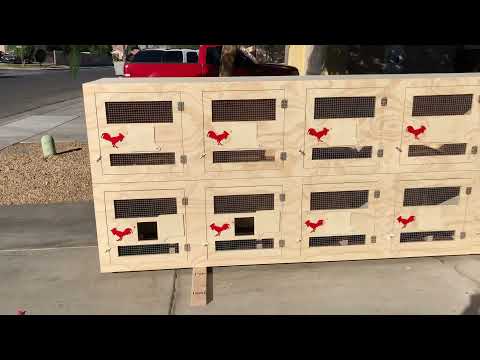 Gamefowl Resting Stalls