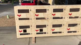 Gamefowl resting stalls