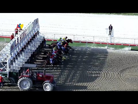 10th | 5th | LXXI Classic "Bolivarian Army" | The De Froix | La Rinconada | Meeting 21 | 2025