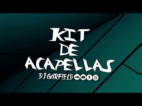 ACAPELLA MC NEGO DO BOREL CHEGUEI NO PISTÃO