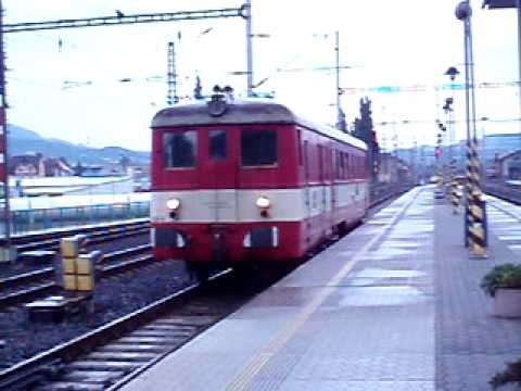 830.159 : lasice na Střekov