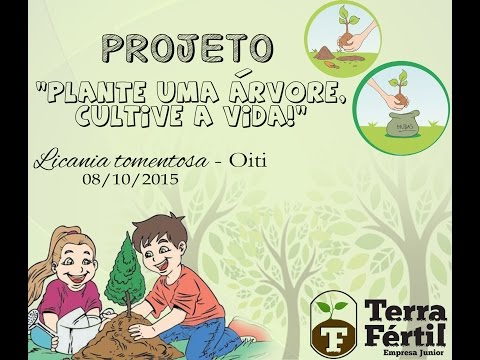 PROJETO TERRA FÉRTIL AO DIA DAS CRIANÇAS