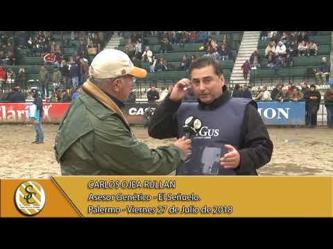 27-07-18 Nota Carlos Ojea Rullan - Jura Macho Angus - Palermo