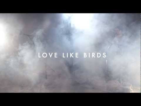 Love Like Birds - Sailorboy (The White Room Session pt. 1)