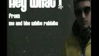 Me and the white Rabbits - Hey What