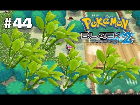 Pokemon Black 2 Ep. 44: NATURE