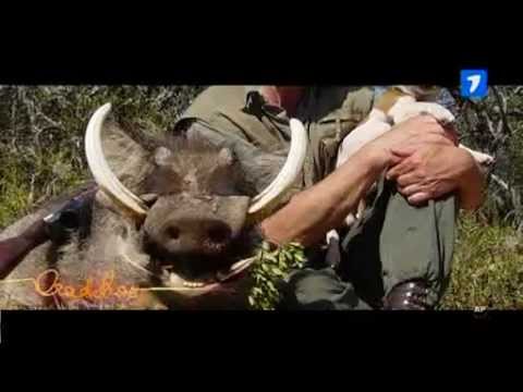 Vinatoarea de mistreti Ohota na volkov