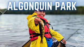 I Found a HIDDEN PARADISE in Algonquin Park's Canisbay Lake!