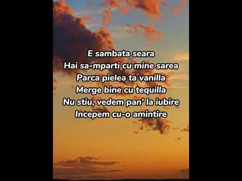 Ami feat. florian rus - Regrete | lyric/versuri