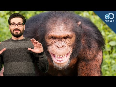 Researchers Created Mind Controlling Monkeys