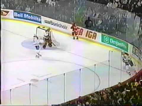 Brendan Shanahan vs Turner Stevenson - Jan 20, 1997