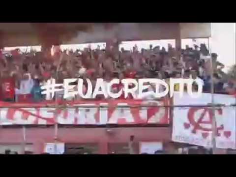 Torcida galo fúria
