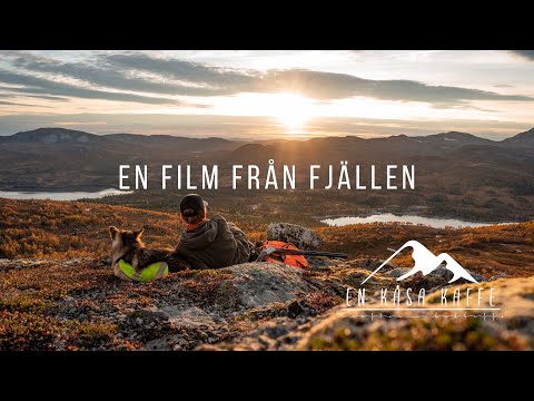 Ripjakt - En film från fjällen