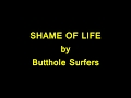Butthole Surfers - Shame Of Life lyrics 