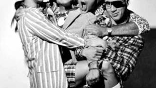 Untitled (john frusciante style)