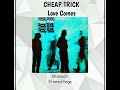 CHEAP TRICK 🏁 Love Comes (Subtitulada)