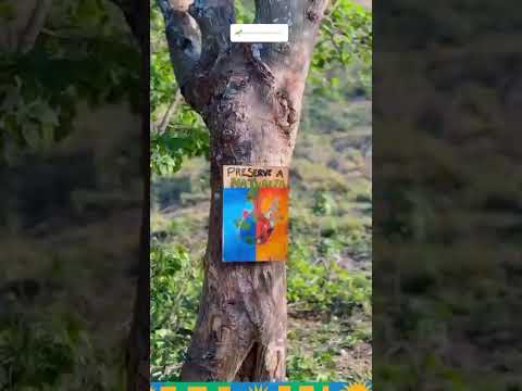 Uma visita técnica na trilha com o secretário de cultura de Maribondo-Alagoas  Brasil 🇧🇷