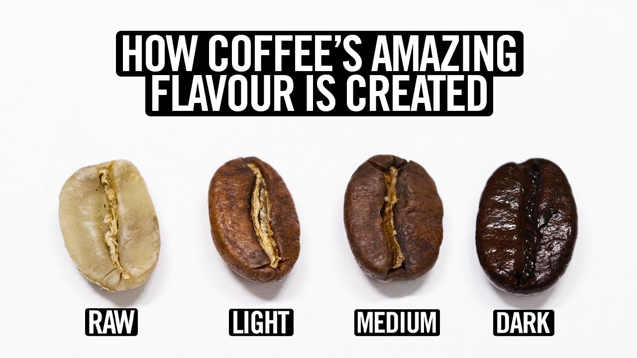 Coffee Roasting Explained