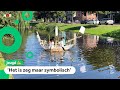 Kinderen varen in een zelfgemaakte boot