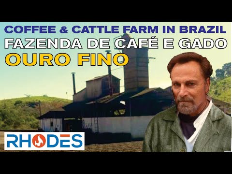 FAZENDA DE CAFÉ E GADO EM OURO FINO-MG / COFFE & CATTLE FARM IN MINAS GERAIS - BRAZIL
