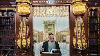 הרב מאיר דוד שמואלי - האוצר היומי סדר כח'