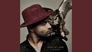 Conclusions Provisoires Lyrics English Translation