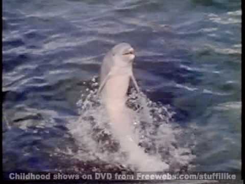 Classic Nick Promo (Early 90's)  - Flipper