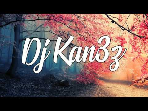 DJ KAN3Z X FACE A FACE - Pani pli bel (zouk remix 2k19)