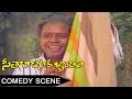 Suthivelu Kalpana Rai Comedy Scenes Seetharama Kalyanam Telugu Movie Balakrishna Rajani
