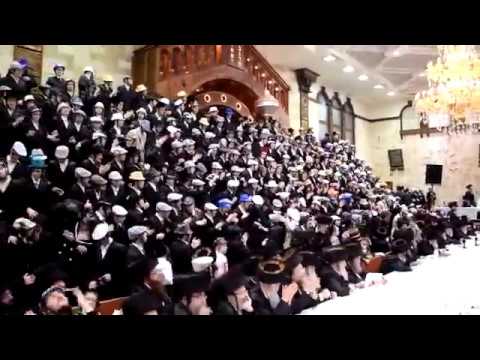 Purim 5777 In Dushinsky