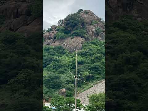 The view!!!! #Themonkeys 🐒