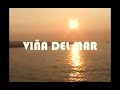 Viña Del Mar - Luti (VHS) ASQER 🦋