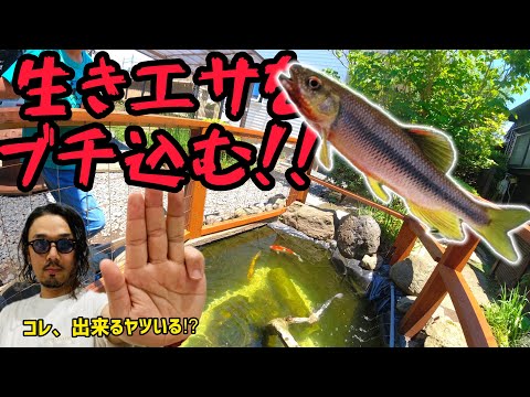 faire-bassin-de-jardin-acier-corten-deco-exterieure