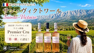 【南仏ワイン旅】プロヴァンス初の一級畑へ!サント・ヴィクトワールの銘醸ワイナリー