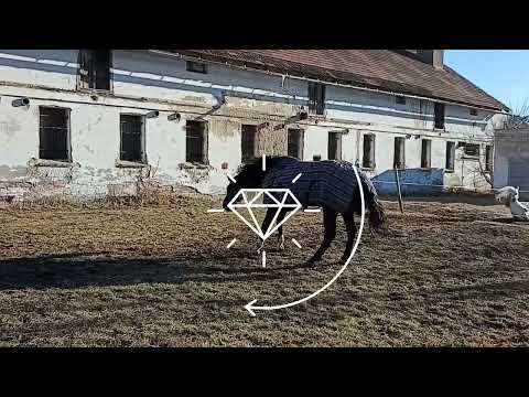 Jezdecká stáj Hanč: budujeme BOXY pro koně a opravujeme stáj